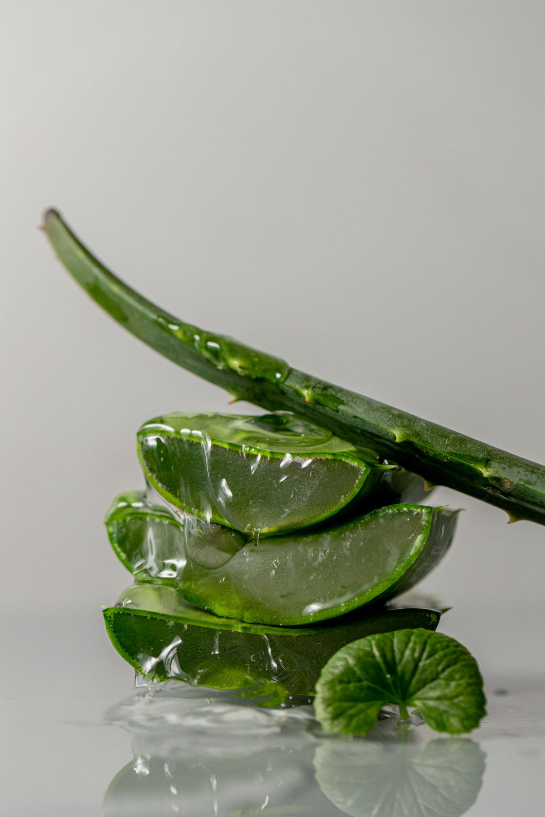 CICA Aloe Gel