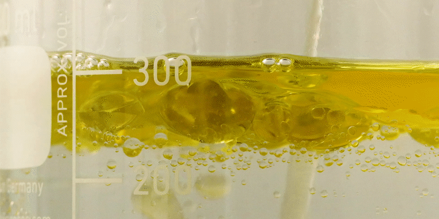 Baobab Hair Essential Oil